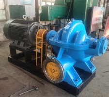 山东91香蕉网站软件