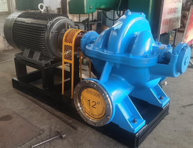 91香蕉网站软件