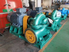 山东BECN91香蕉网站软件