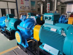 山东OS91香蕉网站软件